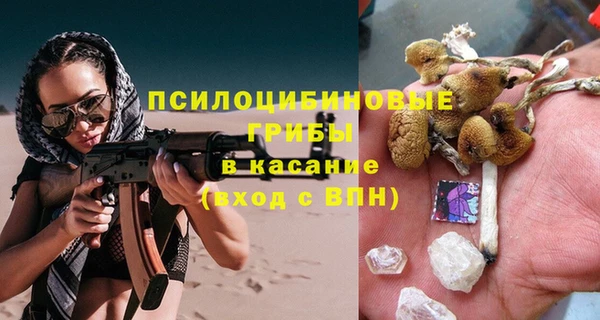бошки Зеленодольск