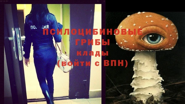 прущий лед Губаха