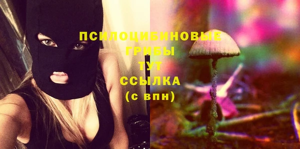 бошки Зеленодольск
